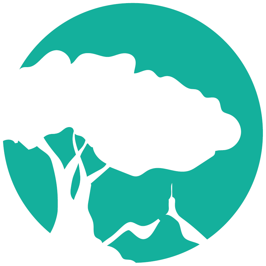 pb symbole logo