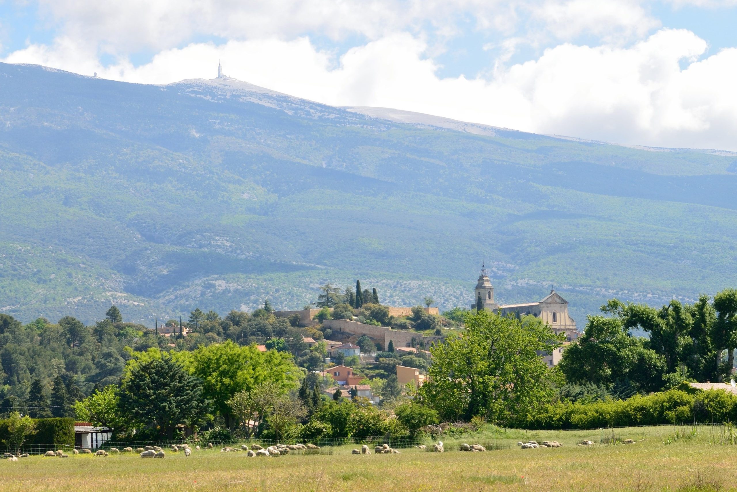 bedoin mit mont ventoux, provence