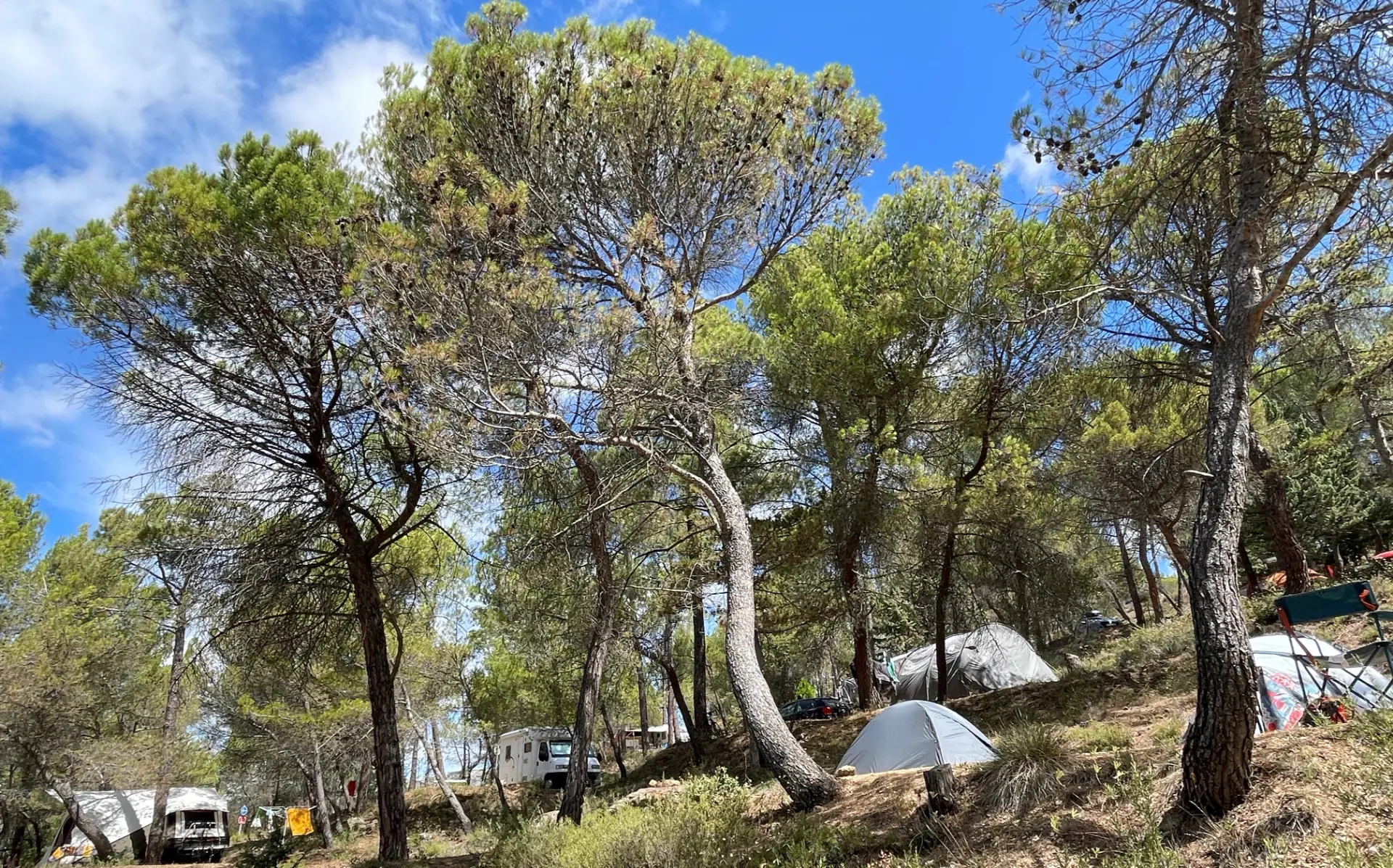 anim-speed-s campingmunicipal bedoin montventoux empl8