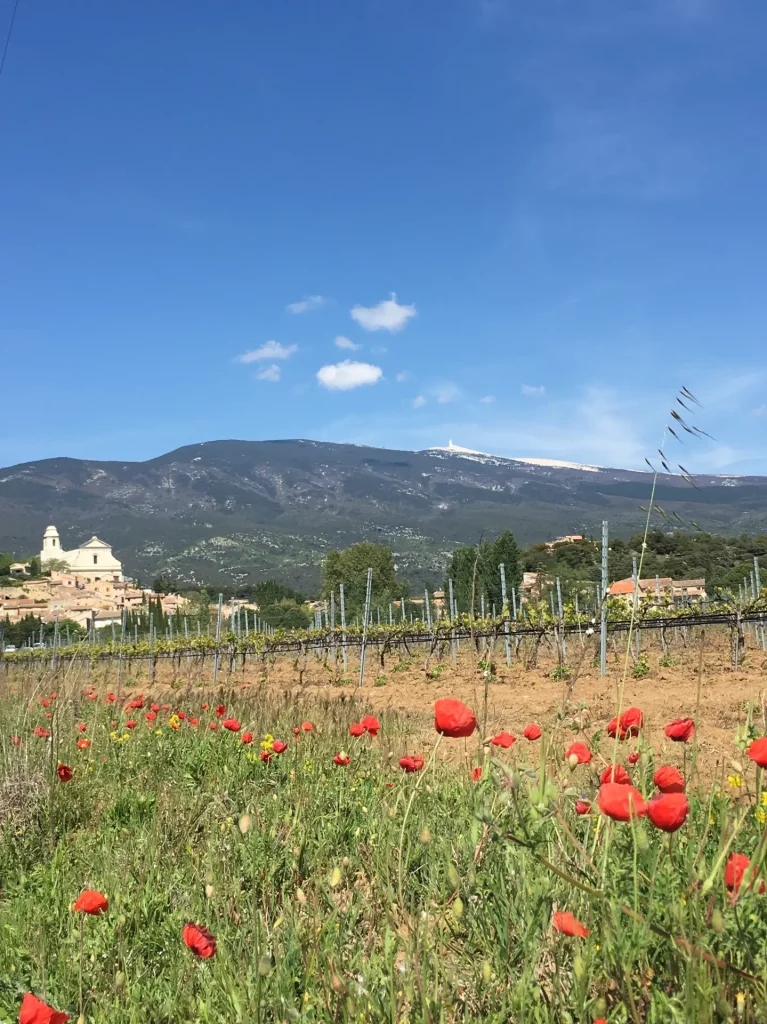 eglise bedoin coquelicots